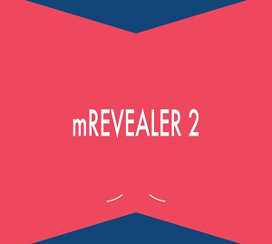 motionVFX mRevealer vol.2